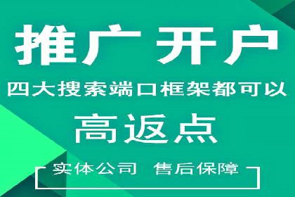 百度SEO推广案例：实战解析与优化建议